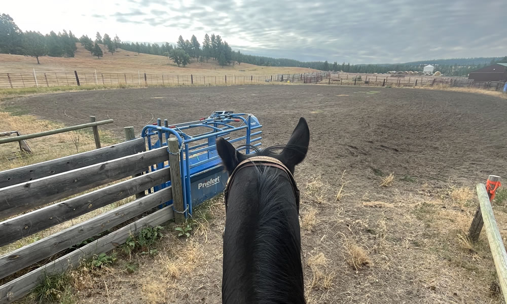 The view from the saddle in my arena in Devils Tower Country will always be one of my favorites. Courtesy photo.